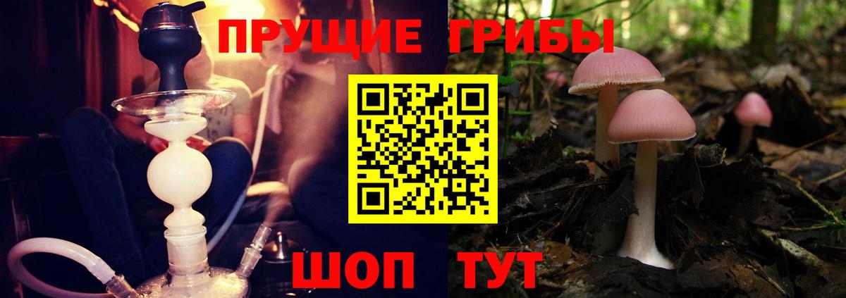 Дзержинск  Псилоцибиновые грибы Cubensis  что такое наркотик  Вход с VPN  Галлюциногенные грибы MAGIC MUSHROOMS 
